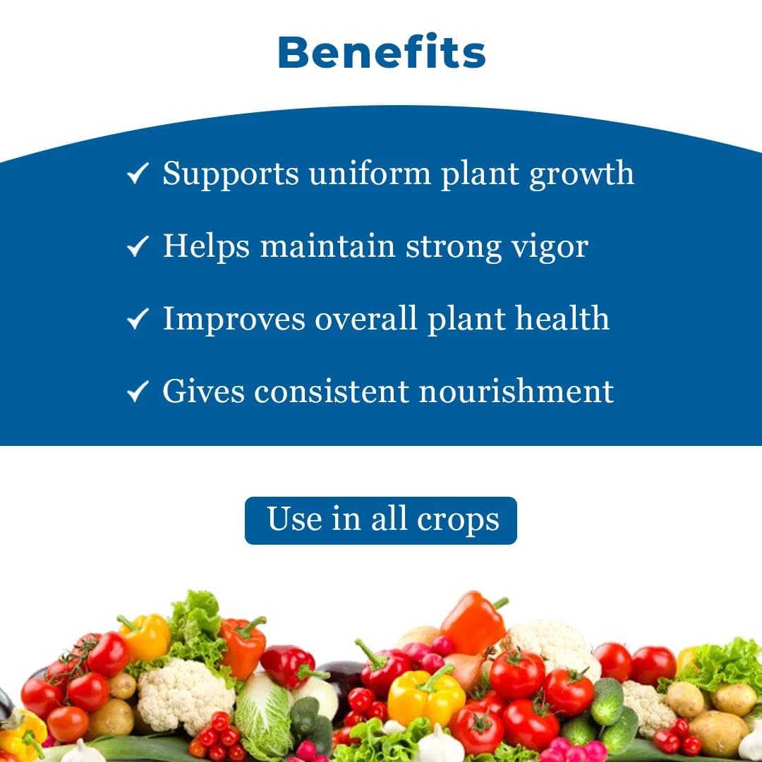 EBS NPK 20:20:20 Water Soluble Fertilizer, Improves Yield of Crops, Provides High Amount Of Essential Plant Nutrients - Image 4