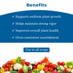 ईबीएस एनपीके 20:20:20 पानी में घुलनशील उर्वरक, फसलों की उपज में सुधार करता है, आवश्यक पौधों के पोषक तत्वों की उच्च मात्रा वृद्धि करता है 4