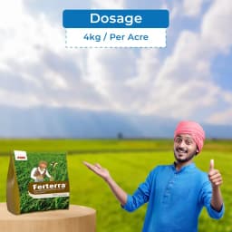 FMC Ferterra Chlorantraniliprole 0.4% ww GR Insecticide, Effective For Borer Control In Rice And Sugarcane Crops. 5