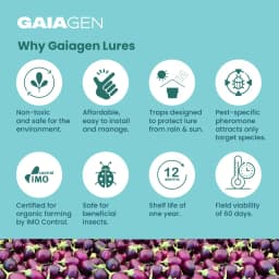 Gaiagen Brinjal Fruit And Shoot Borer Pheromone Lure For Leucinodes Orbonalis, IMO Certified. 8