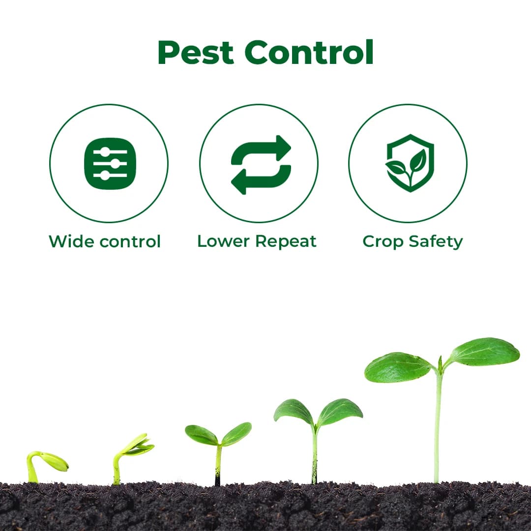Exylon Flybird Fipronil 40% + Imidacloprid 40% WG Insecticide, Dual-Action, Effective Pest Control - Image 3
