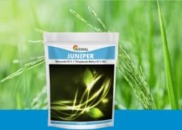 Swal Juniper Thiophanate methlyl 25% + Mancozeb 50% WG Systemic and Contact Fungicide 2