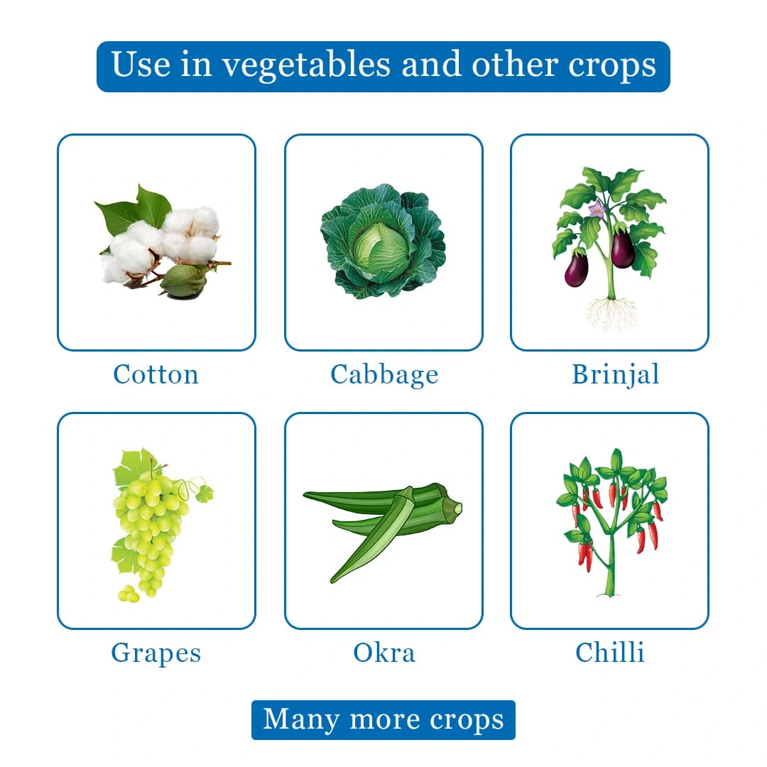 यूपीएल स्पोलिट एमेक्तिन बेंजोएट 5% एसजी कीटनाशक, ट्रांसलामिनर और पेट क्रिया के साथ - Image 4