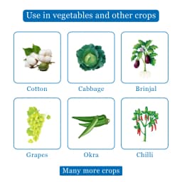 यूपीएल स्पोलिट एमेक्तिन बेंजोएट 5% एसजी कीटनाशक, ट्रांसलामिनर और पेट क्रिया के साथ 4