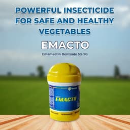 Willowood EMACTO Emamectin Benzoate 5% SG, Best Against Bollworms, Diamond Black Moth 2