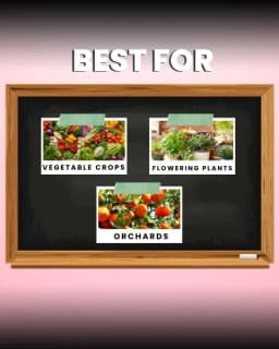 Katyayani Flowering Fertilizer Booster for All Flowering Plants Roses, Orchids, Hibiscus, Jasmine, etc with Mix Micro Nutrient Super for Home Garden 5