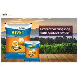 Hpm Hivet Sulphur 80% WDG Multipurpose Fungicide, As Micronutrient, Miticide, and Fungicide. 5