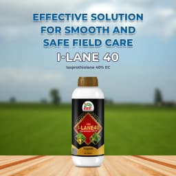 EBS I-Lane 40 Isoprothiolane 40% EC, Systemic Fungicide that Protects Crops From Fungal Diseases. 2