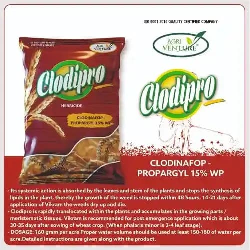 Agriventure Clodipro Clodinafop Propargyl 15% WP Herbicide, Selective Post Emergence And Broad Spectrum Herbicide, Use For Wheat Crop. - Image 4