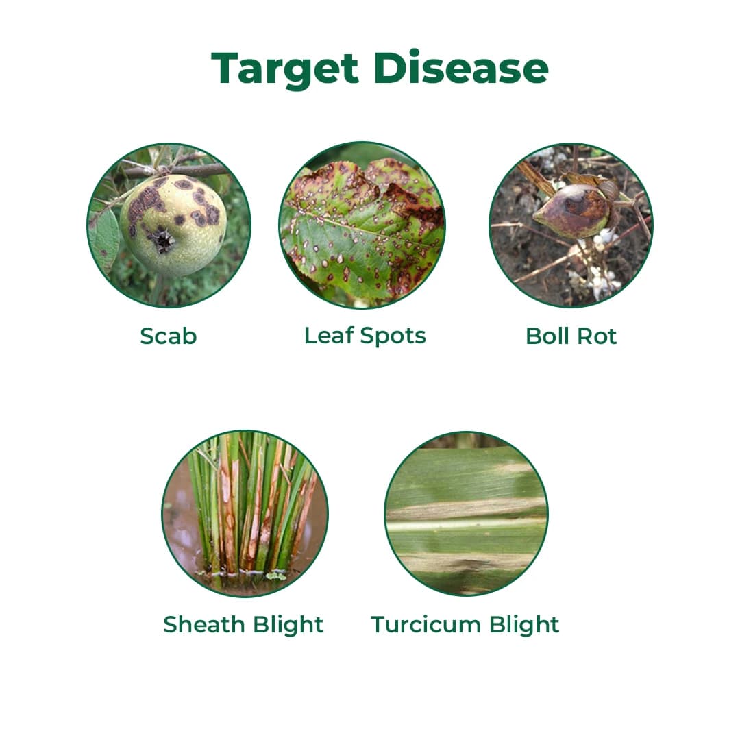 Indofil Avtar Fungicide - Image 3