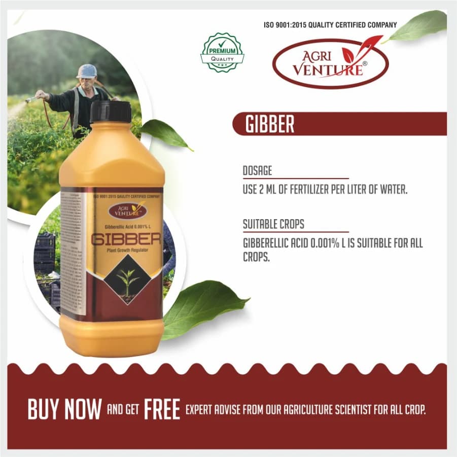 Agriventure Gibber (Gibberellic Acid 0.001% SL) PGR - Plant Growth Regulator, Best For All Crops - Image 5