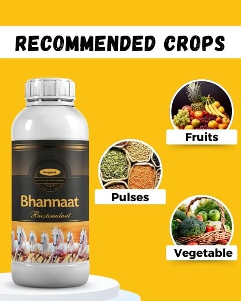 Katyayani Bhannaat Biostimulant Plant Growth Promoter, Increases Plant Resistance - Image 5