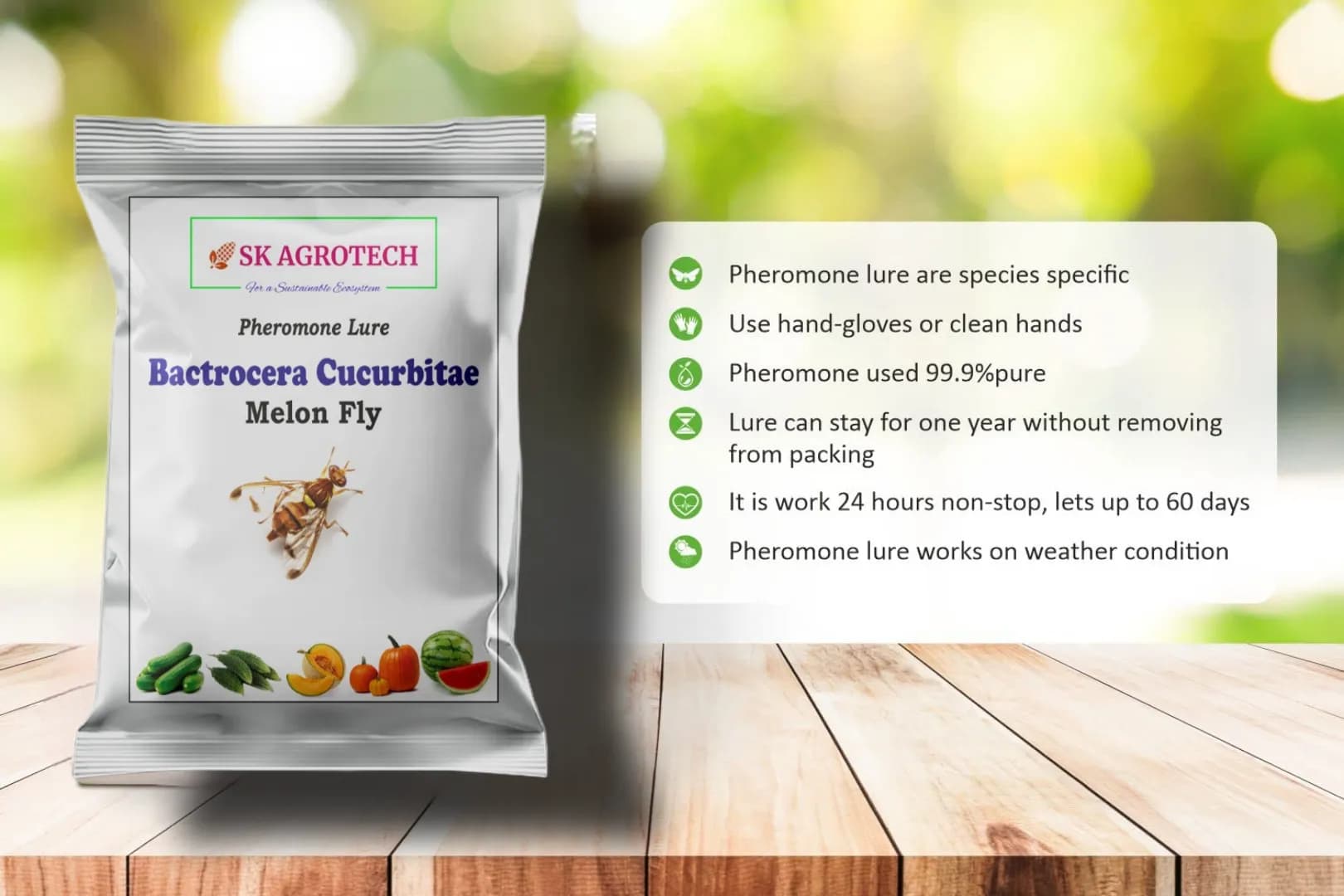 एसके एग्रोटेक बैक्ट्रोसेरा कुकुर्बिटाई खरबूजा मक्खी फेरोमोन ट्रैप, सब्जियों के लिए ल्यूर के साथ। - Image 5