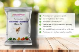 SK Agrotech Bactrocera Cucurbitae Melon Fly Pheromone Trap With Lure For Vegetables 5