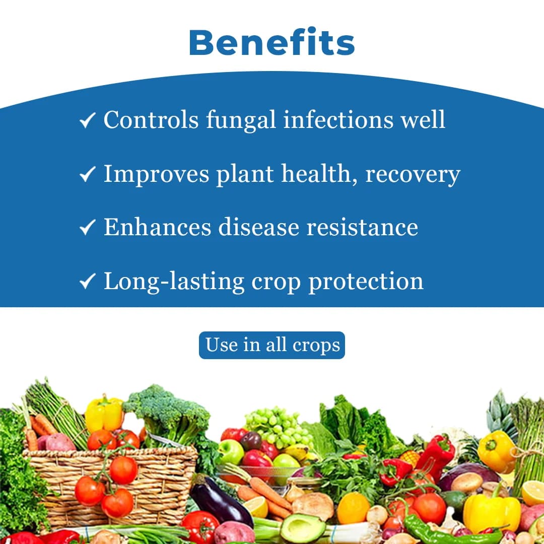 Shivalik Crosstin Carbendazim 50% WP Fungicide, Broad Spectrum, Agriculture Use - Image 4