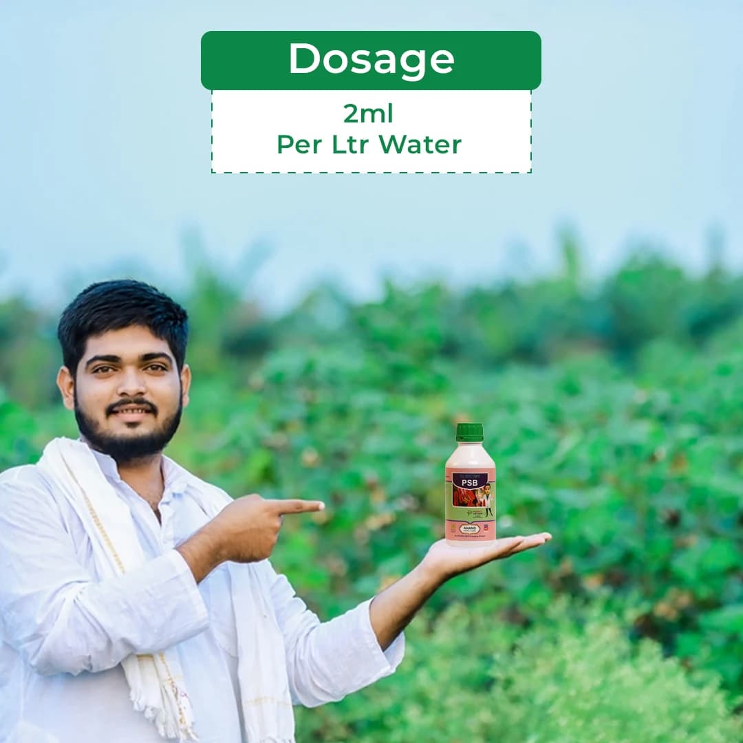 Dr. Bacto\'s PSB, Phosphate Solubilizing Bacteria Organic Fertilizer, Harmless, Eco-friendly, And Low-Cost Agro-Input. - Image 5