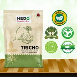 HEDO Tricho Trichoderma Viride 1.5% WP Bio Pesticide, Control A Wide Range of Soil And Seed Borne Fungal Diseases 8