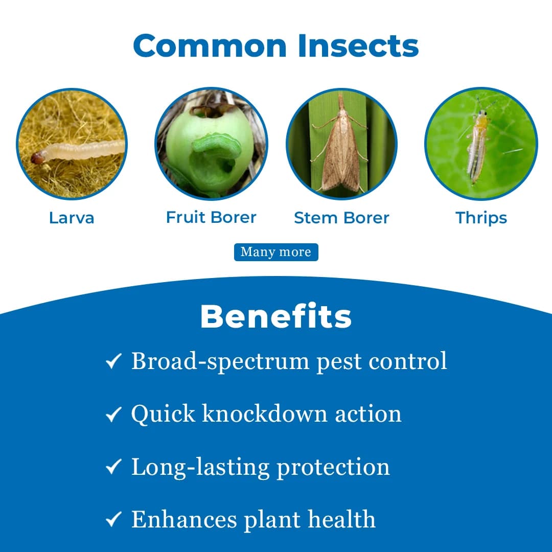 IIL Xplode Insecticide - Image 3