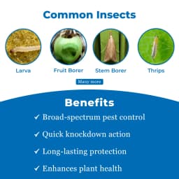 आईआईएल एक्सप्लोड एमामेक्टिन बेंजोएट 5% एसजी, लार्वा, थ्रिप्स, फल और तना छेदक के प्रभावी नियंत्रण के लिए 3