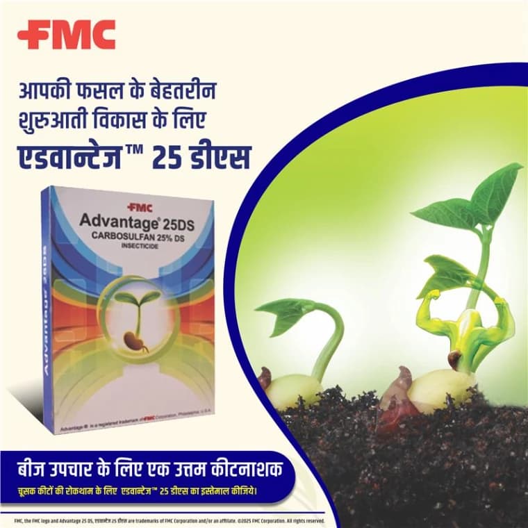 FMC Advantage Carbosulfan 25% DS Insecticide, Powder Formulation Which Also Helps In Better Seed Coating Or Treatment - Image 2
