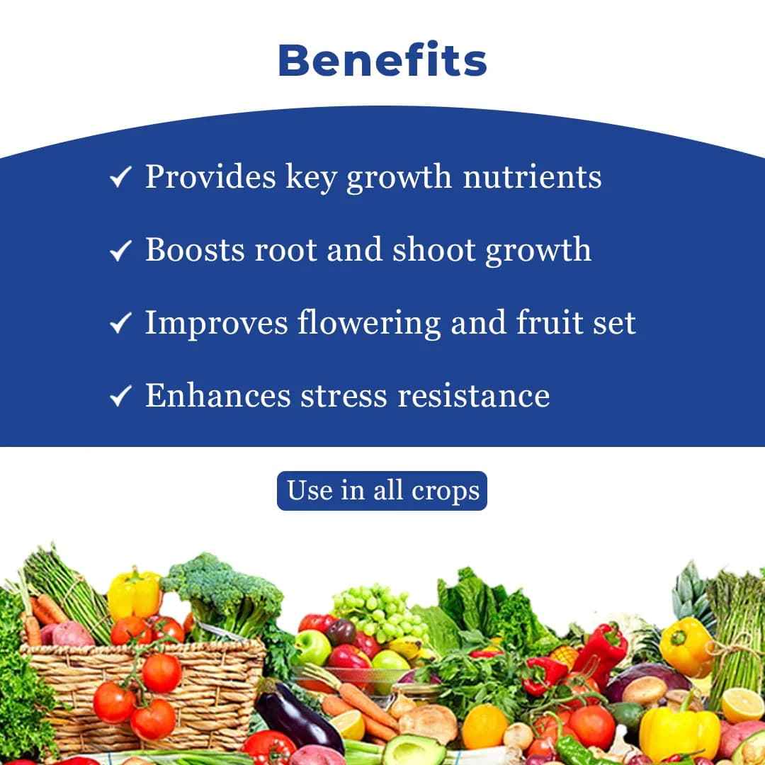 Aries Fertimax 13:00:45 Designed For Optimal Plant Nutrition High Quality Source of Potassium and Nitrogen - Image 4