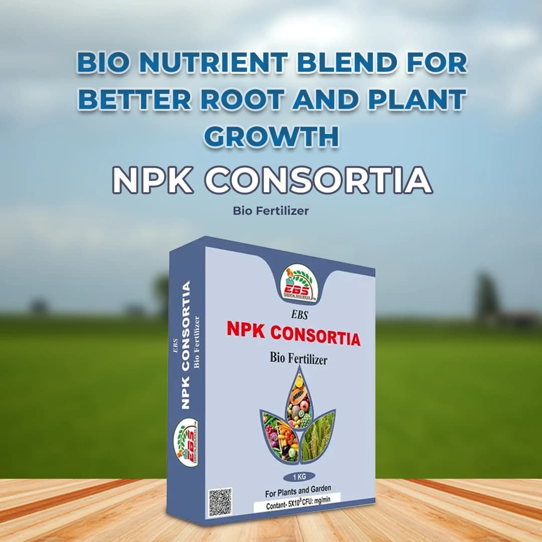 EBS NPK Consortia Bio Fertilizer, 5x10^8 Contains Bacteria that Fix Nitrogen and Phosphorus From the Atmosphere, Use for Plants & Garden - Image 2