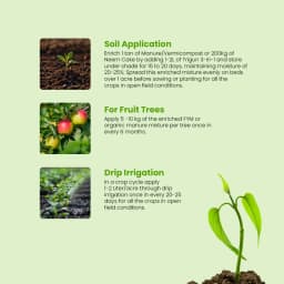 IFFCO TRIGUN 3-in-1 Liquid Soil Borne Pathogen Management, For Fungal, Bacterial, and Nematodal Diseases 4