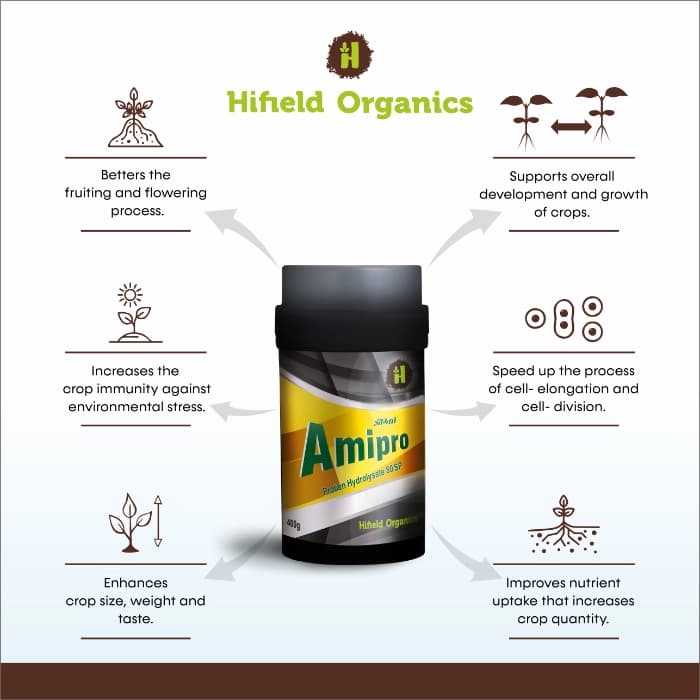 Hifield Amipro 80 Protein Hydrolysate 80 SP Organic Nitrogen Fertilizer, Increases Flowering, Fruiting and Helps in Overall Growth of Plants - Image 2
