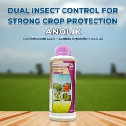 Adama Anolik Thiamethoxam 12.6% + Lambda Cyhalothrin 9.5% ZC Insecticide, Effective Control Against Sucking Pests 2
