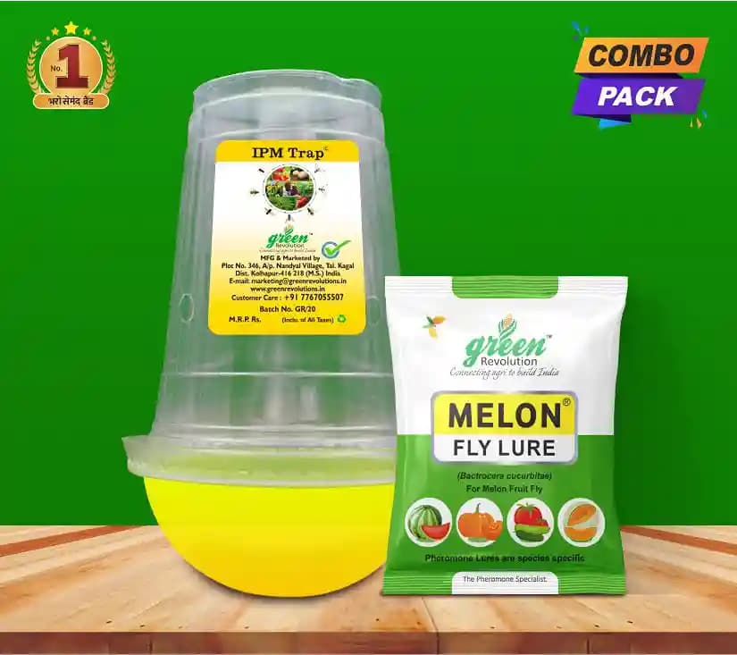 आईपीएम ट्रैप विथ मेलॉन फ्लाई फेरोमोने ल्यूर, बैक्ट्रोसेरा कुकुर्बिटे को नियंत्रित करने के लिए। खीरा, लौकी, करेला, कद्दू, तरबूज़ के लिए उपयोगी। - Image 7