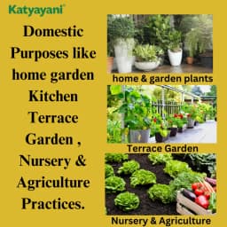 कात्यायनी ट्रिपल अटैक जैव कीटनाशक, वर्टिसिलियम लेकेनी, ब्योवेरिया बैसियाना और मेटारहिजियम एनीसोप्लिए का मिश्रण 4