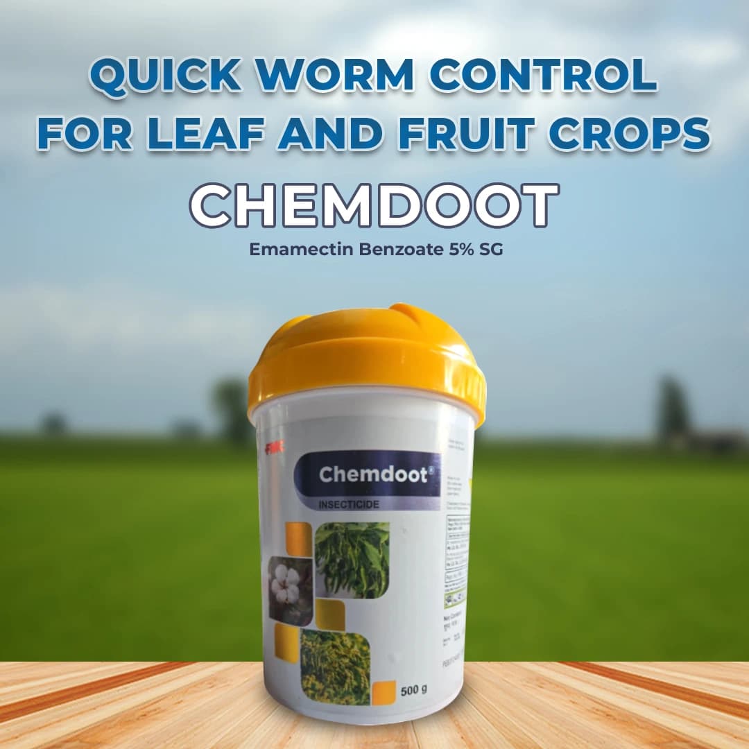 FMC Chemdoot Emamectin Benzoate 5% SG Insecticide , It Controls The Caterpillars Present On The Lower Surface Of The Leaves - Image 2