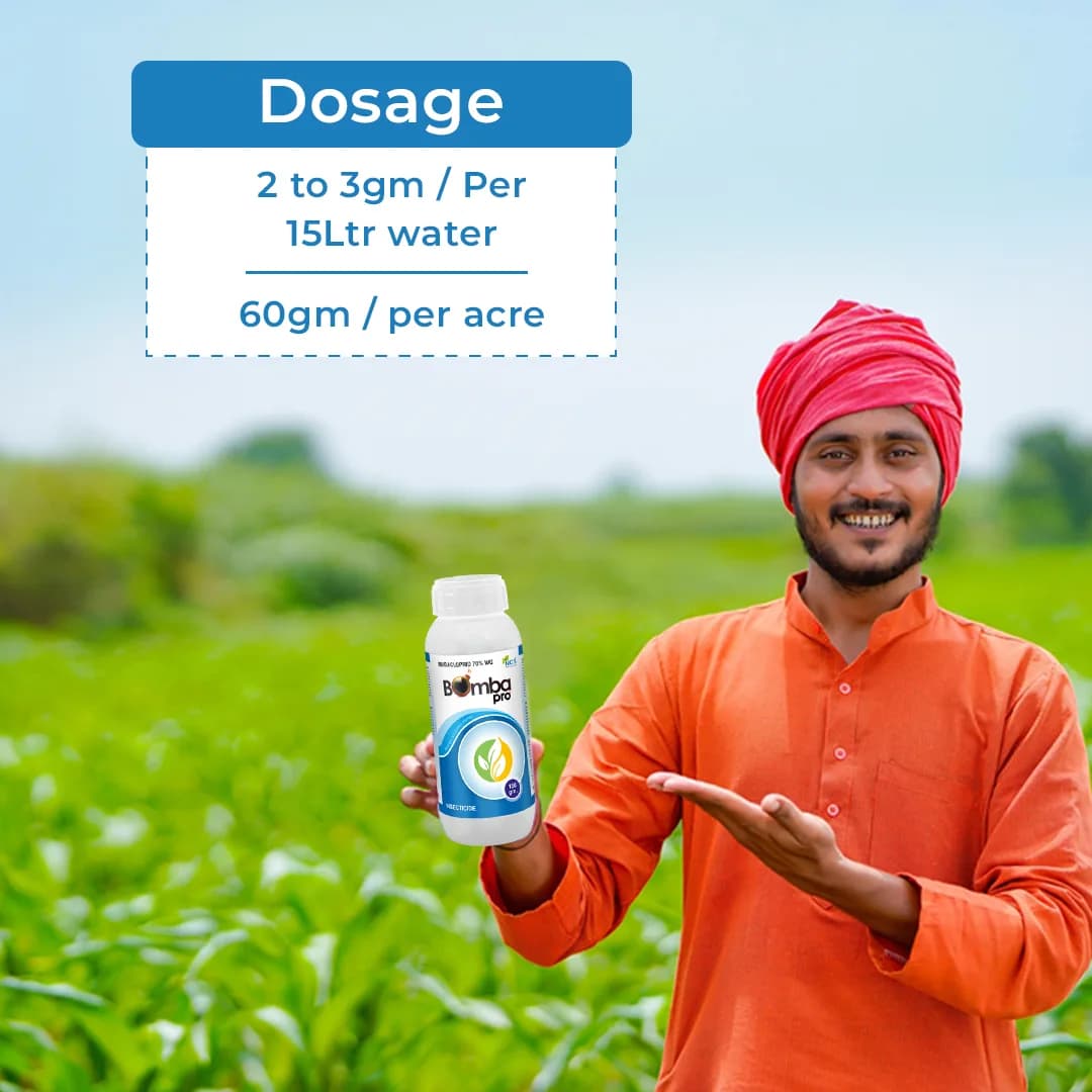 बॉम्बा प्रो - इमिडाक्लोप्रिड 70% डब्लूजी कीटनाशक, रस चूसने वाले कीटों के नियंत्रण के लिए। - Image 5