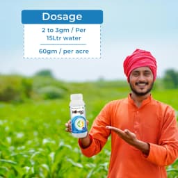 Bomba Pro - Imidacloprid 70% WG Insecticide, Essential For Control of Sucking Pests 5