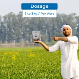 Tata Rallis Nayazinc Fertilizer, Zinc Polyphosphate, Promotes Plant Growth, Development And Yield 5