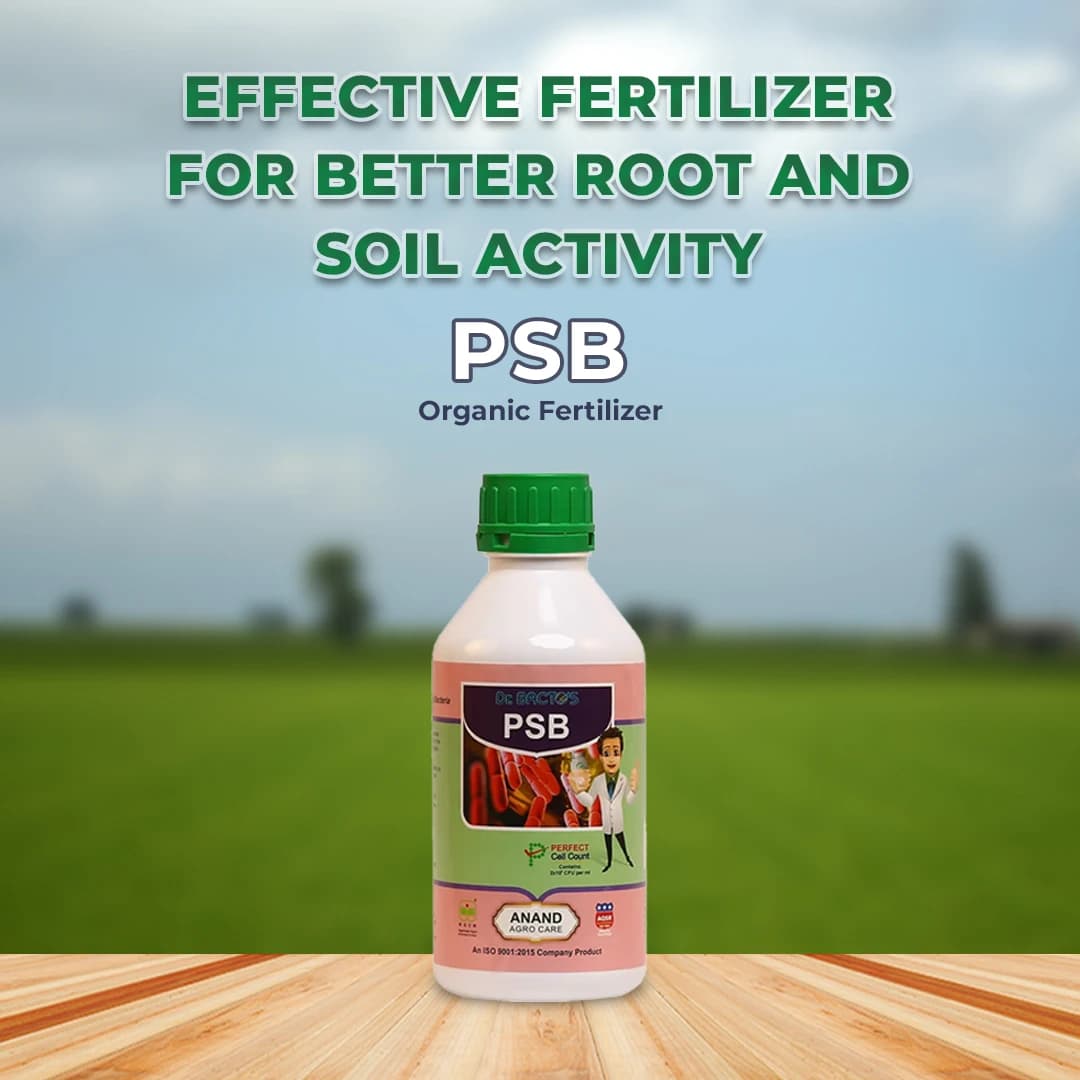 Dr. Bacto\'s PSB, Phosphate Solubilizing Bacteria Organic Fertilizer, Harmless, Eco-friendly, And Low-Cost Agro-Input. - Image 2
