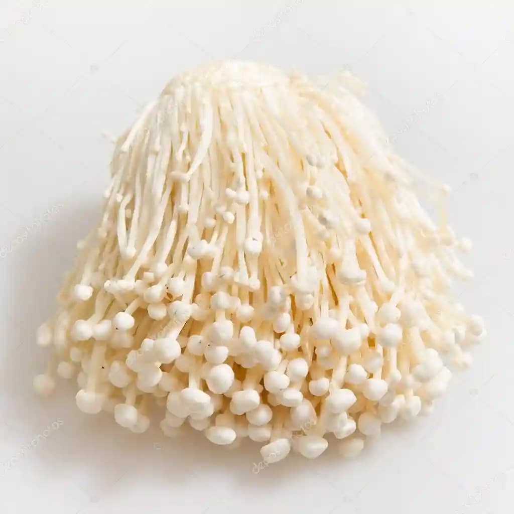 Enoki (Enokitake) (Flammulina Velutipes) Culture In Test Tube, 100% Clean, Active Mycelium - Image 4