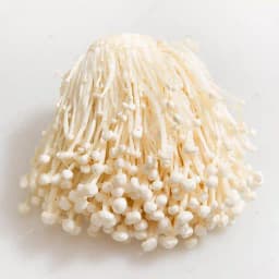 Enoki (Enokitake) (Flammulina Velutipes) Culture In Test Tube, 100% Clean, Active Mycelium 3