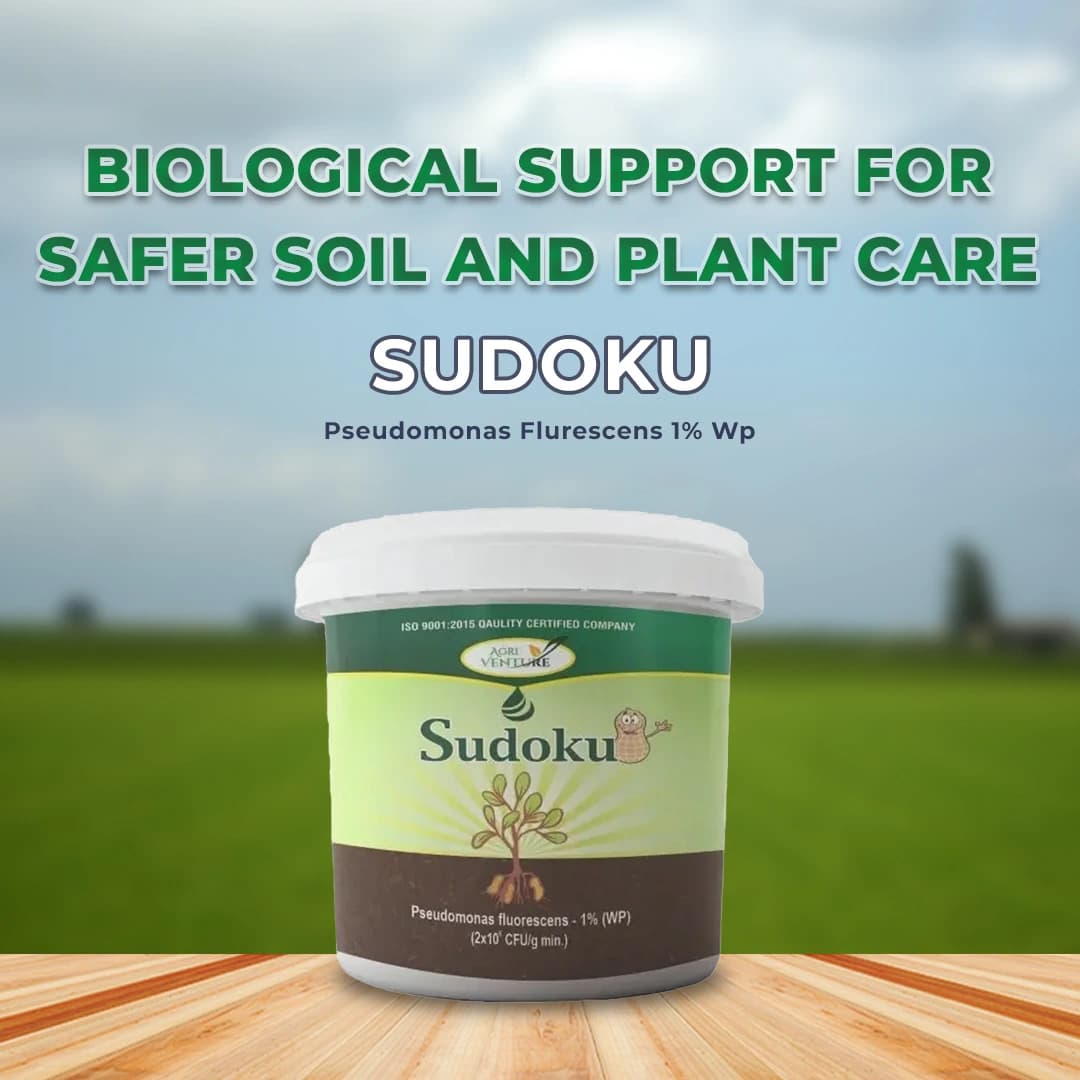 Agriventure Sudoku (Pseudomonas Flurescens 1% Wp) Promote Plant Growth And Health By Suppressing Soil Borne Diseases - Image 2