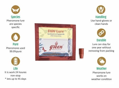 फ़नल ट्रैप, एफएडब्लू, (फॉल आर्मीवॉर्म और स्पोडोप्टेरा फ्रुगिपरडा फेरोमोन ल्यूर) मक्का, चावल, गन्ना एवं अन्य फसलों के लिए उपयोगी। - Image 11