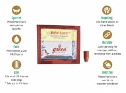 Funnel Trap With FAW (Fall Army Worm or Spodoptera frugiperda Pheromone Lure) for Maize, Rice, Sugarcane and Other Crops. 11