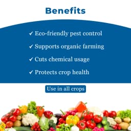 IPL Ziram 27% SC Contact Fungicide, Effective Against Wide Range Fungal Diseases 4