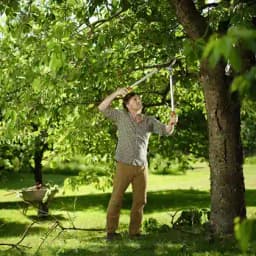 वुल्फ गार्टन पावर कट एल्युमिनियम ऐनविल लोपर, दो अलग-अलग कटिंग मोड (RS 800), कटिंग डायमीटर 50 मिमी 5