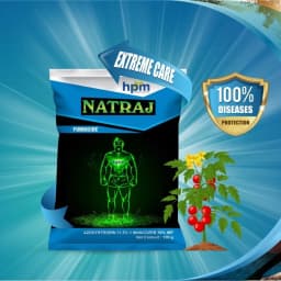 HPM Natraj Azoxystrobin 11.5% + Mancozeb 30% WP, Contact and Systemic Broad Spectrum Fungicide 4