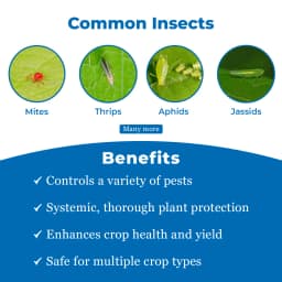 Katyayani Imida IMIDACLOPRID 30.5% SC Systematic Insecticide Control of Sucking Pest Aphid, Jassid, Thrips And Termites 3