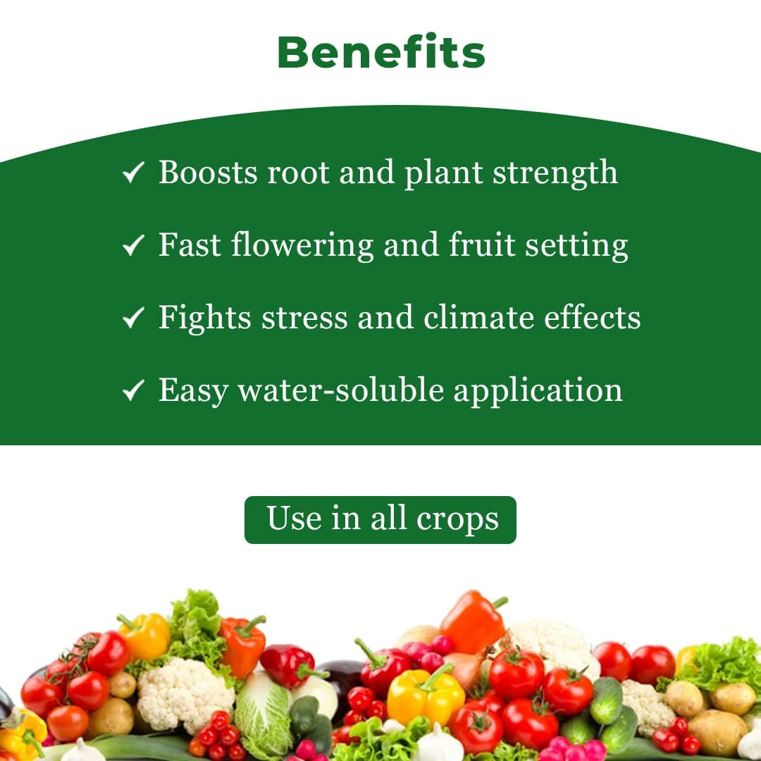 Ramcides Allwin Top Plus - Specialty Fertilizer - Image 5