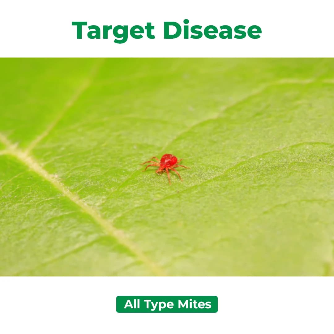 Ramicides Zolomite Insecticide - Fenpyroximate 5% EC - Image 3