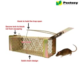 Pestezy Mouse Or Rat Trap Cage, Humane, Durable, Safe And Easy to Use, Cross Design, Allowing For Safe Release 4