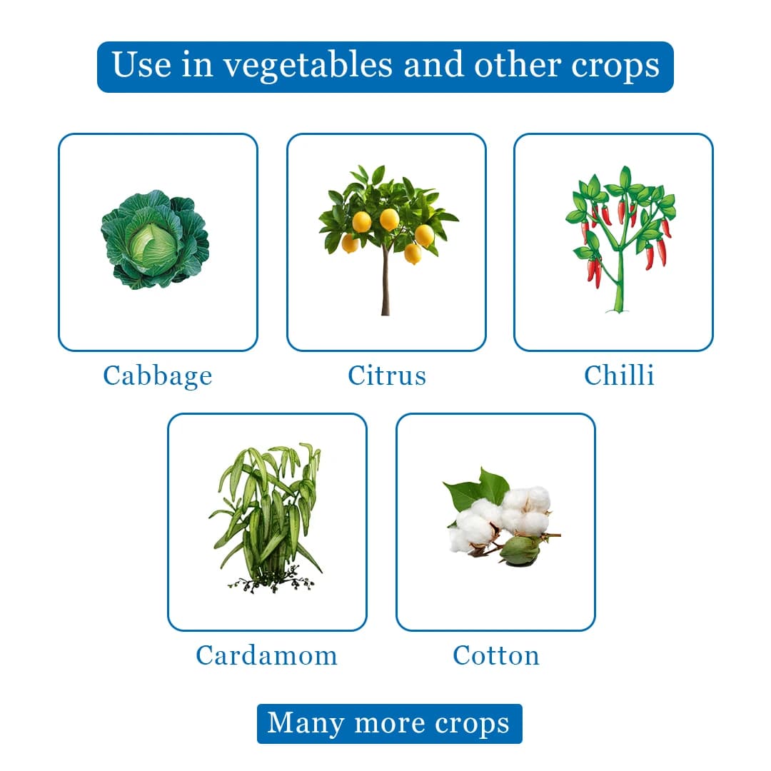 Pager Insecticide - Diafenthiuron 50% WP - Image 4