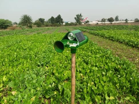 GreenVayu Mr. GOGO Animal Buzzer (Basic) - Image 2